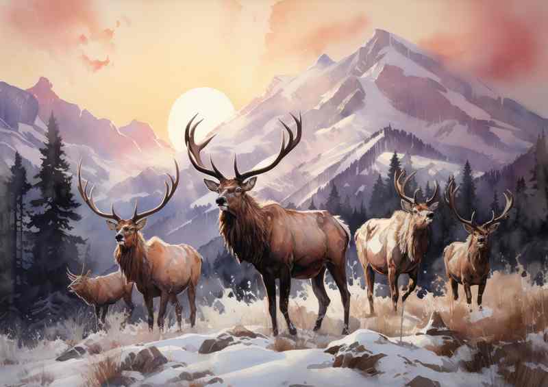 Elks on the mountain range with a rising sun | Metal Poster