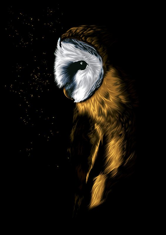 Serenity Owl | Metal Poster