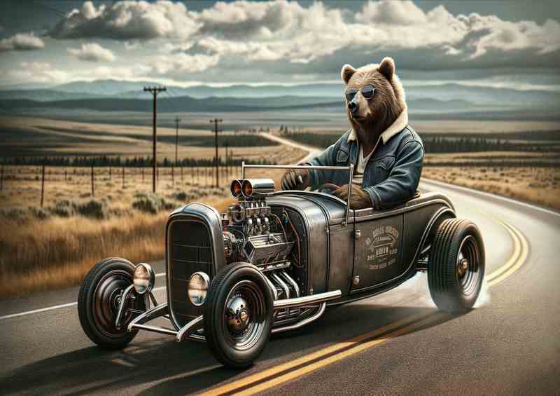 Solo Bear Driving an American Hot Rod | Metal Poster