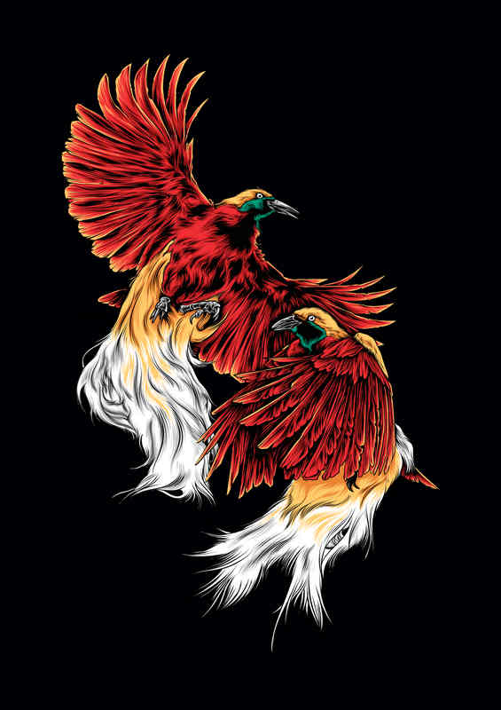 Cenderawasih Birds in flight | Metal Poster