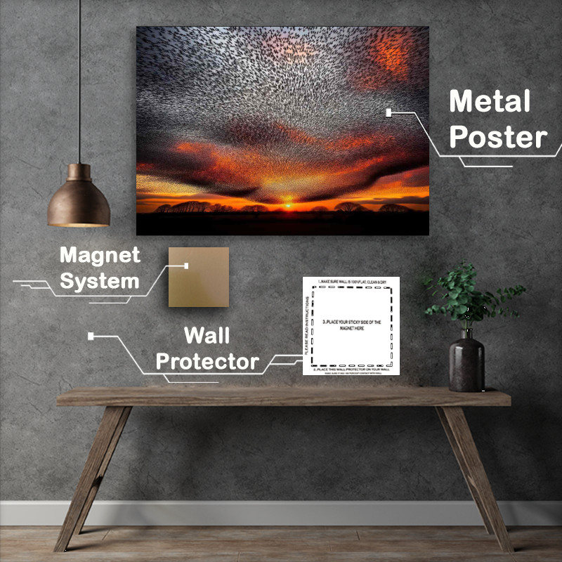Buy Same Iconic Design : (Sunset Starlings Metal Poster)